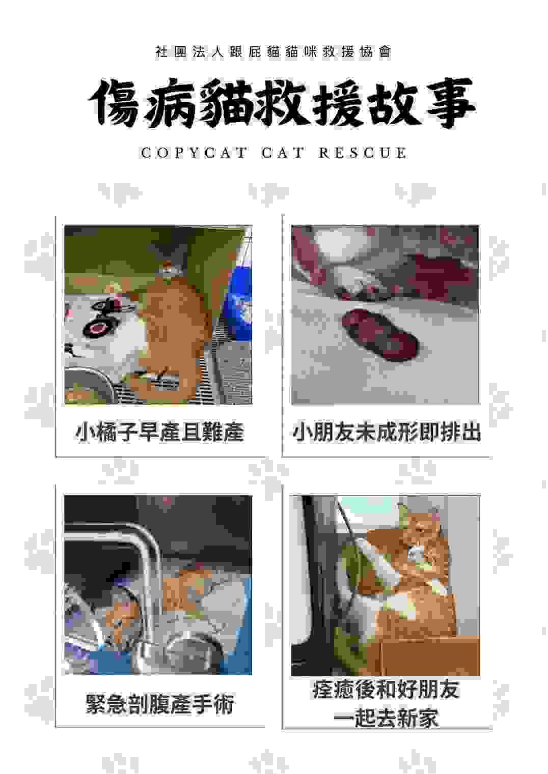 broken image