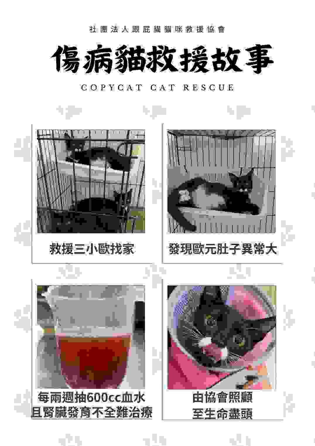 broken image