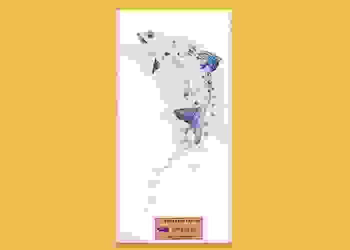 broken image