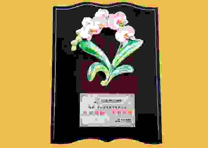 broken image
