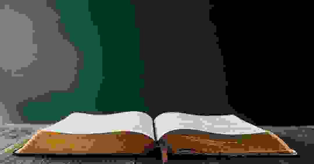 Section image