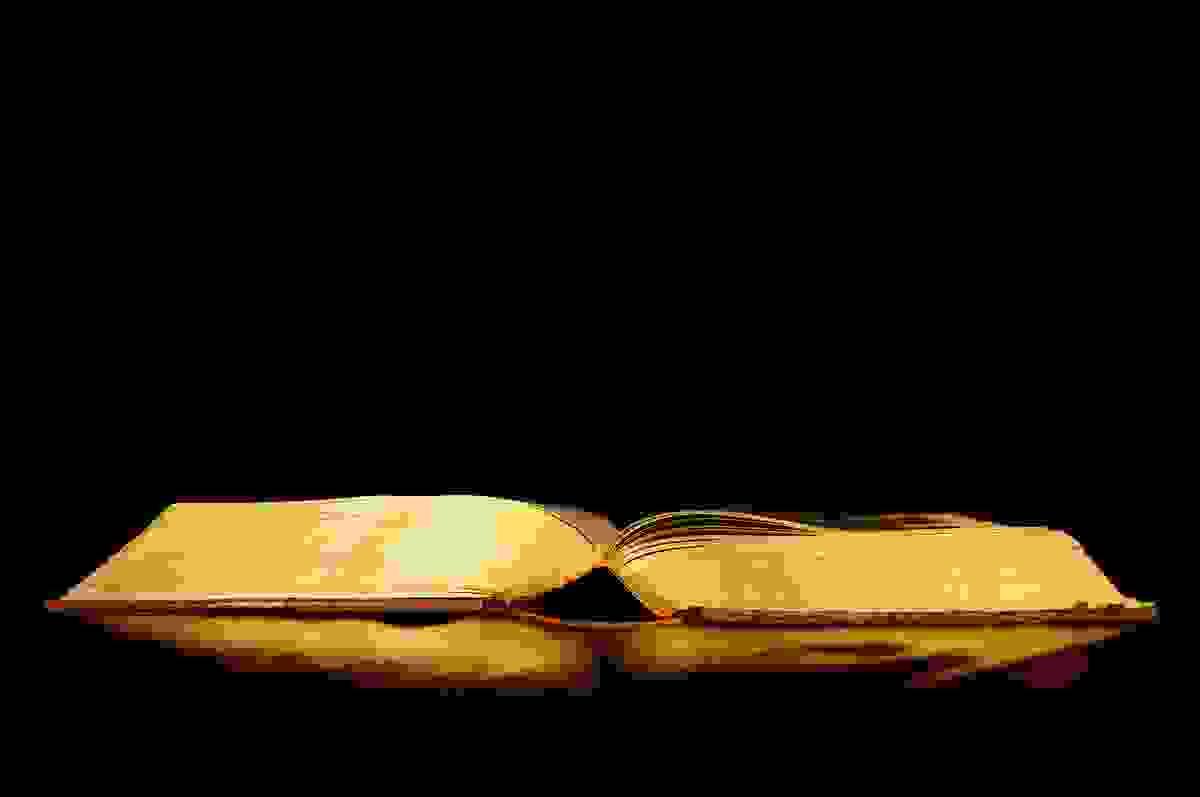 Section image