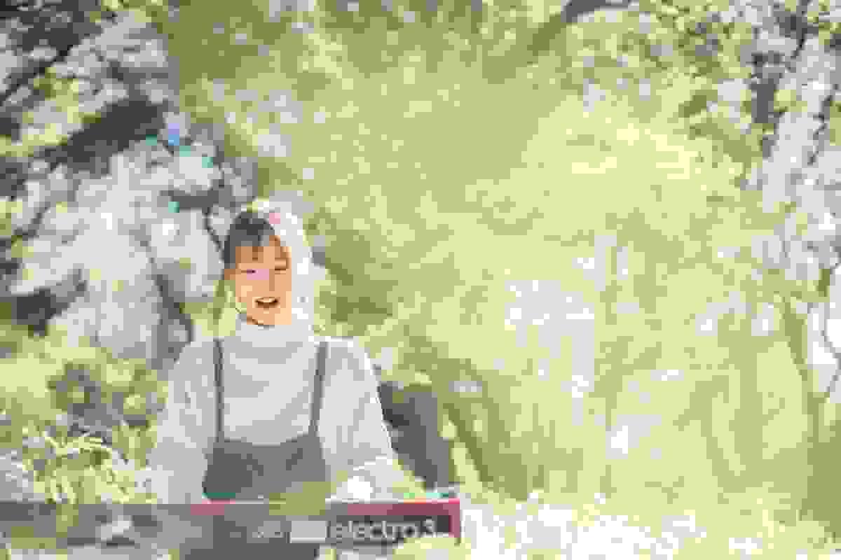 broken image
