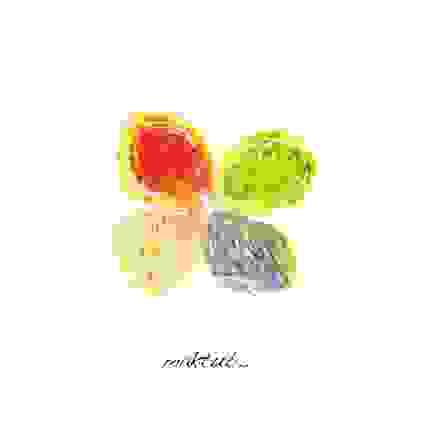 broken image