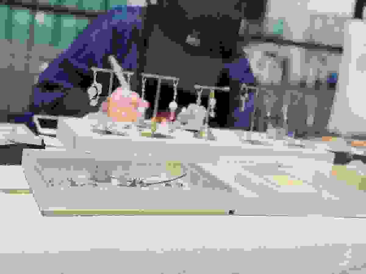 broken image