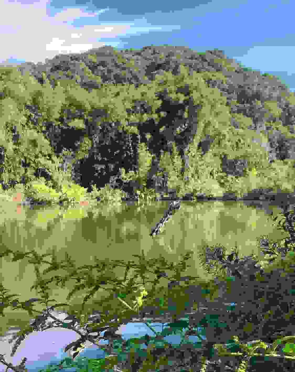 Section image