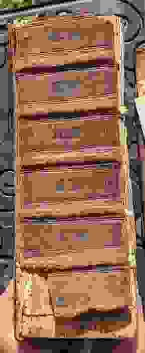 Section image