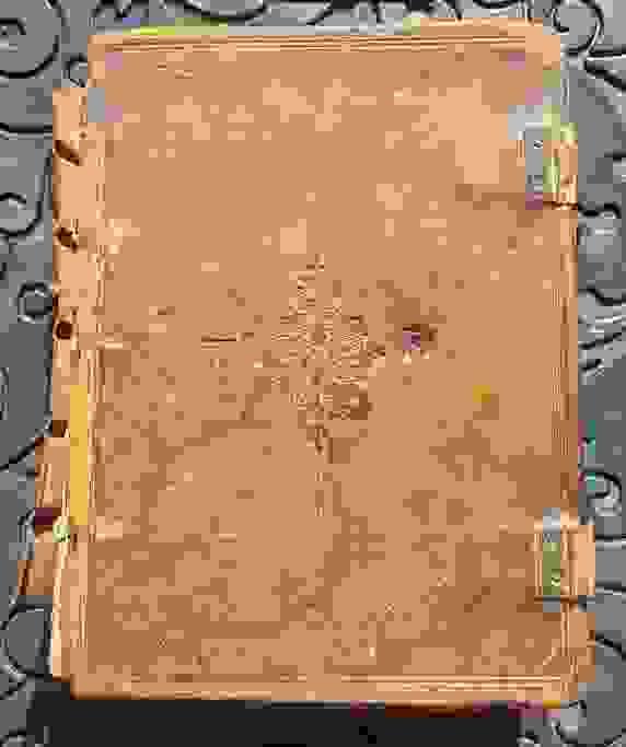 Section image