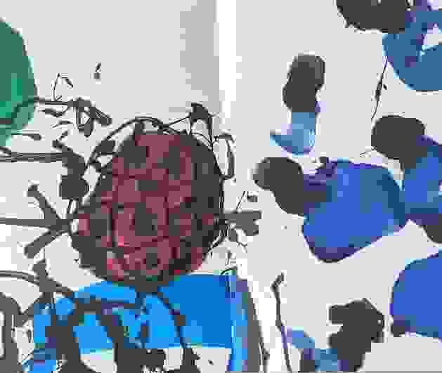 broken image