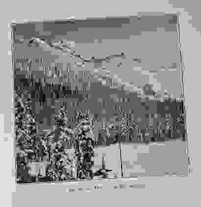 Section image