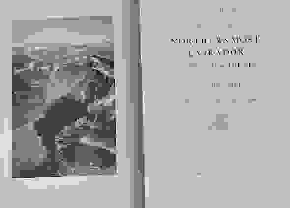 Section image