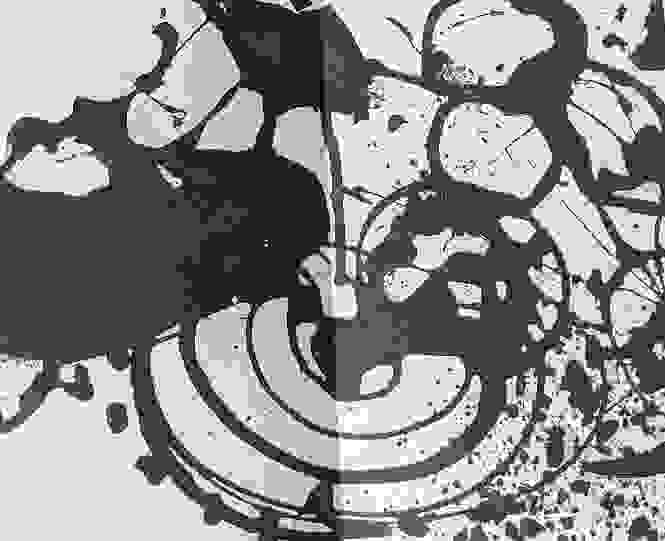 broken image