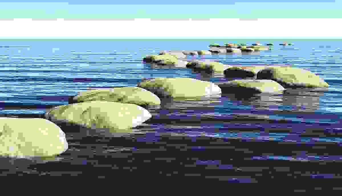 Section image