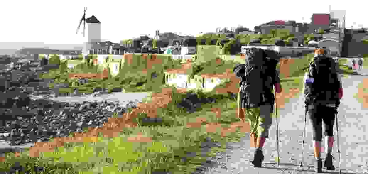 Section image