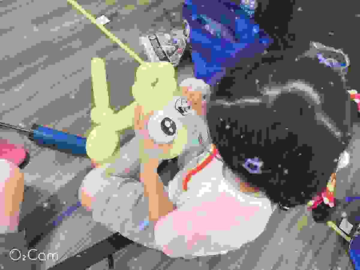 broken image