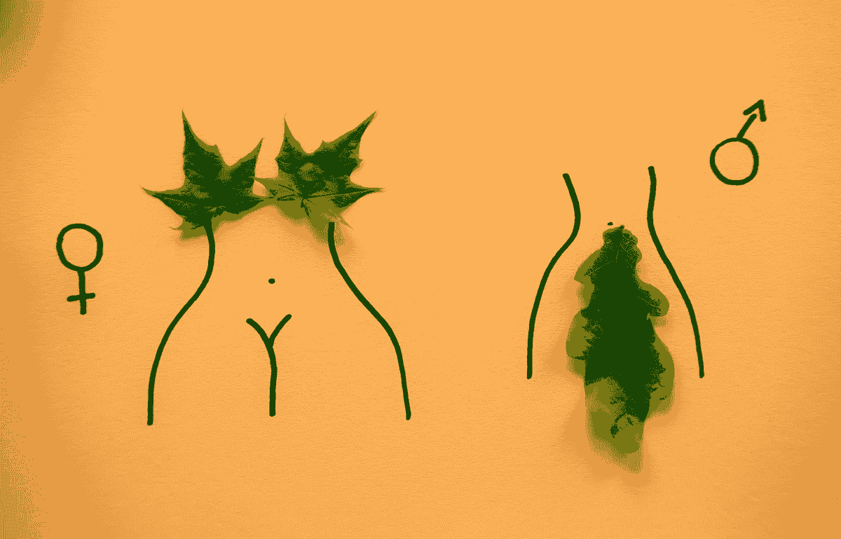 HPV 是什麼？誰會得？怎麼預防？完整解析人類乳突病毒｜淺顯易懂的行醫筆記｜療寮診所．板橋江子翠｜家醫科診所．健保一般科