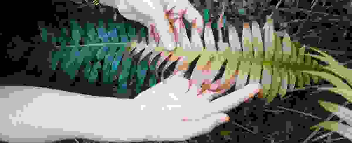 Section image