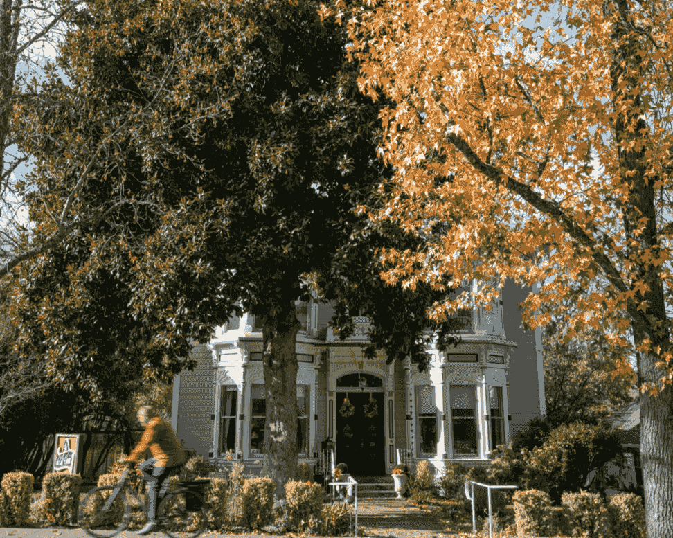 Section image