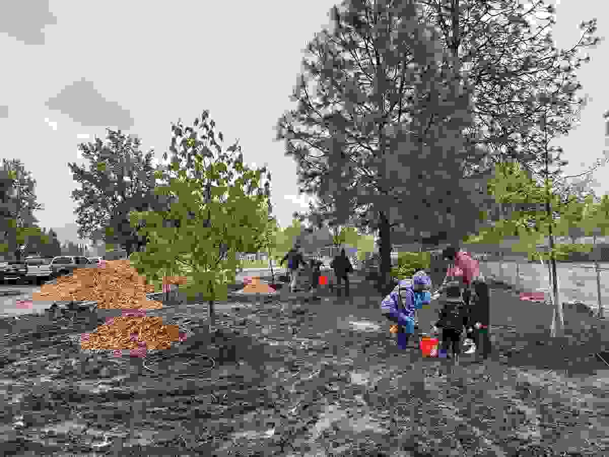 Section image