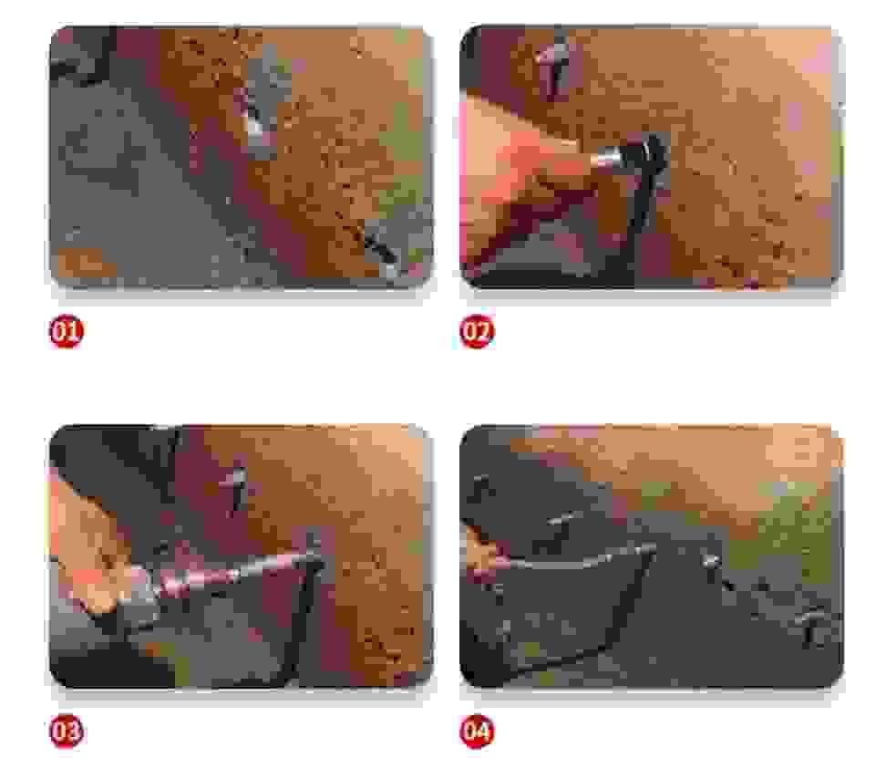 Section image