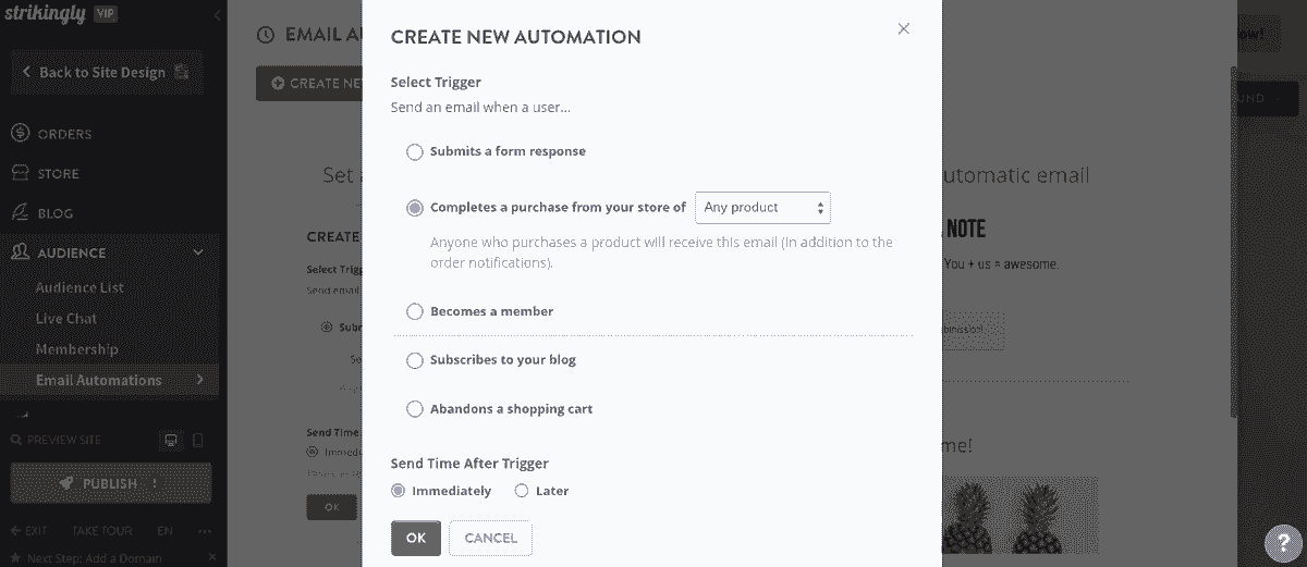 Các chiến dịch email tự động