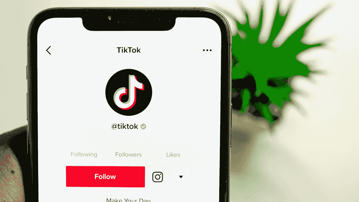 Utmaning accepterad: Erövra TikTok-marknadsföring
