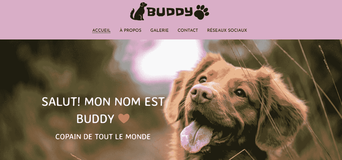 Garde d'animaux et promenade de chiens