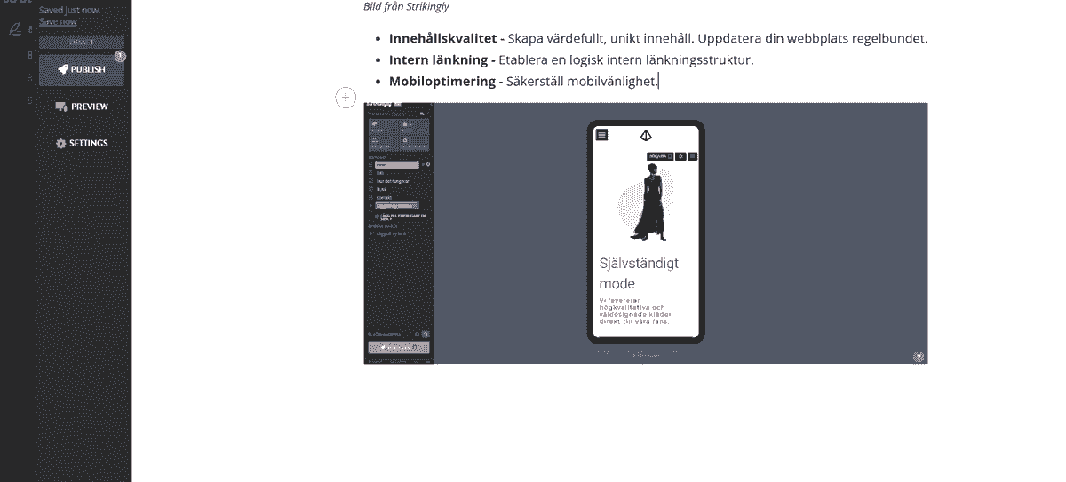 Att använda Strikingly för SEO-optimering
