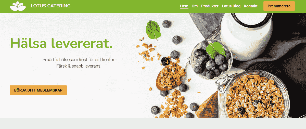Implementera Strikingly Checkout för sömlös orderuppfyllande