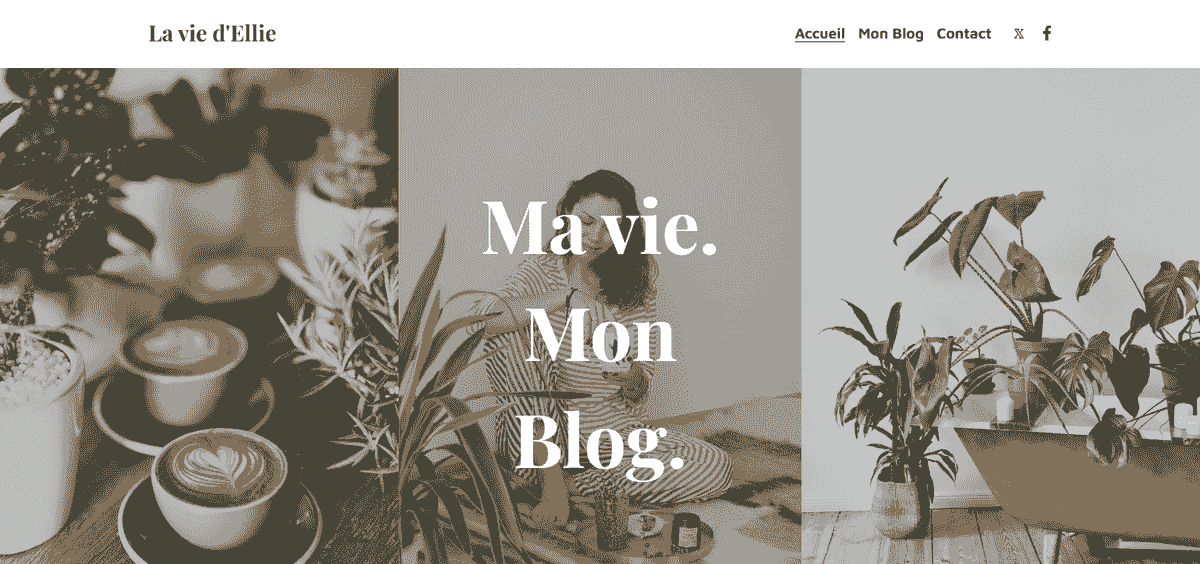 Choisissez une plateforme de site de blog