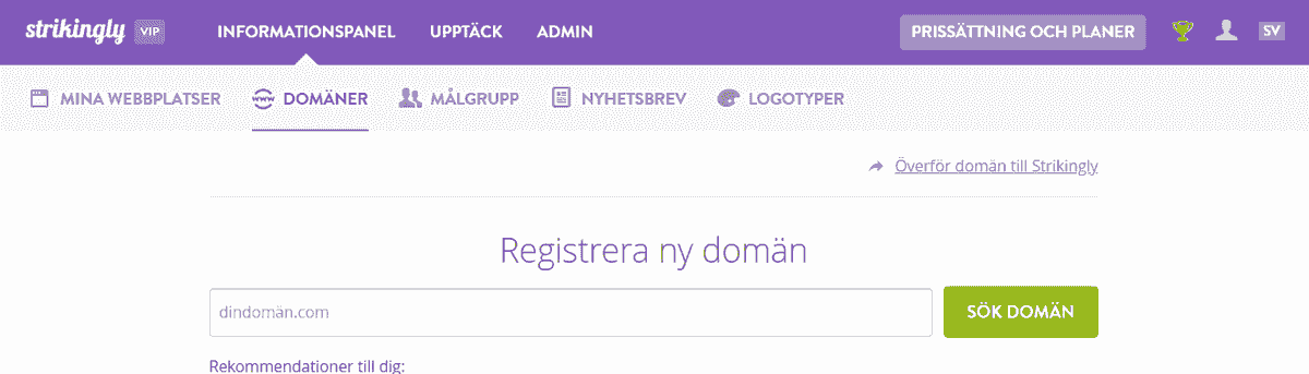 Välj ett domännamn med Strikingly