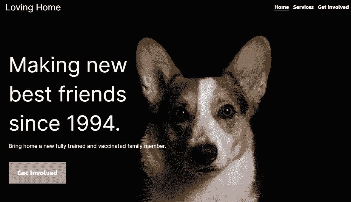 Soin des animaux de compagnie