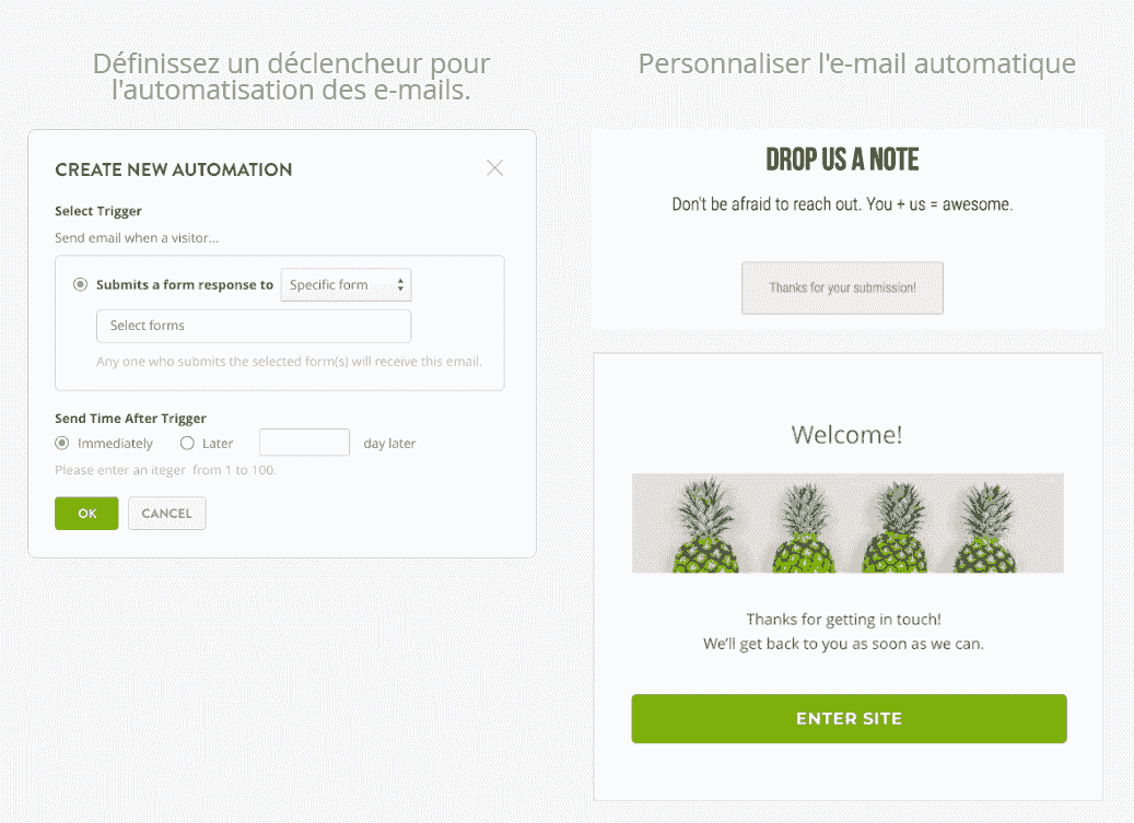 Automatisation du Marketing