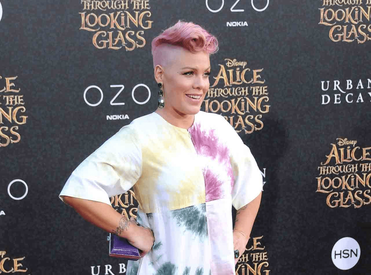 P nk discography rapidshare
