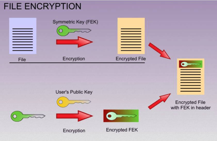 Decrypt rsa 1024 python sentinel
