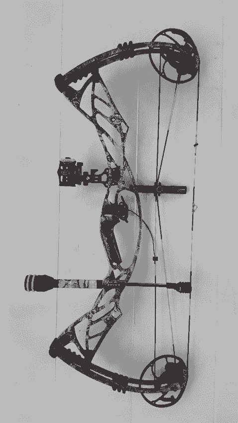 Compound Area. Examples Hoyt compound bow serial number lookup