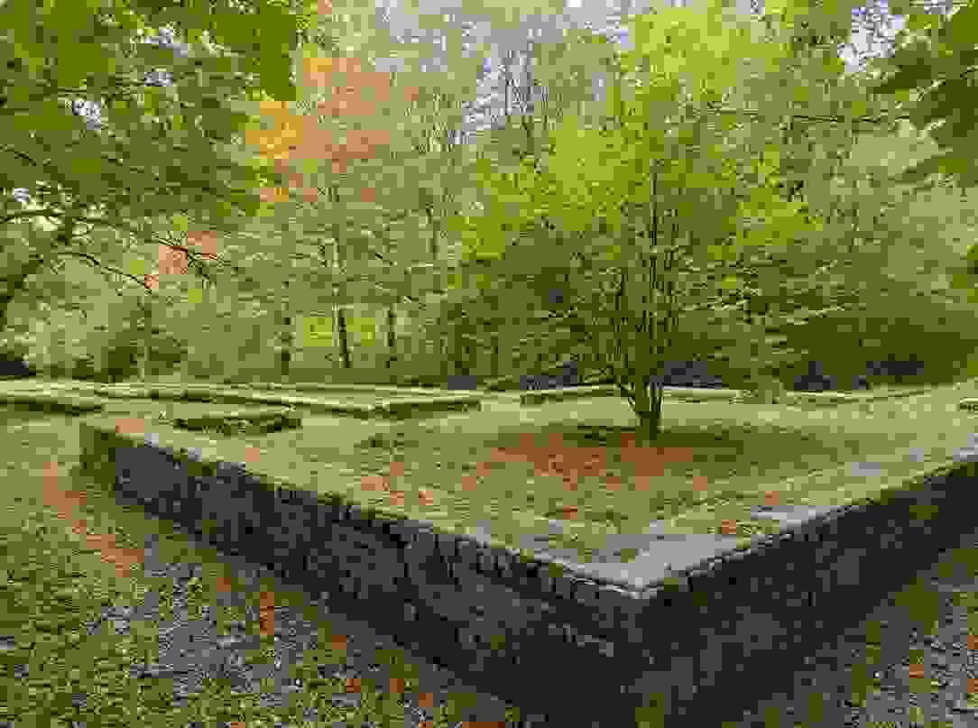 Section image
