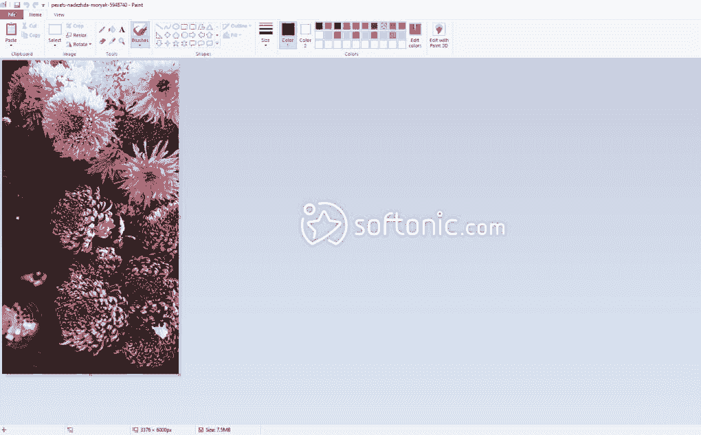 Something like ms paint for mac