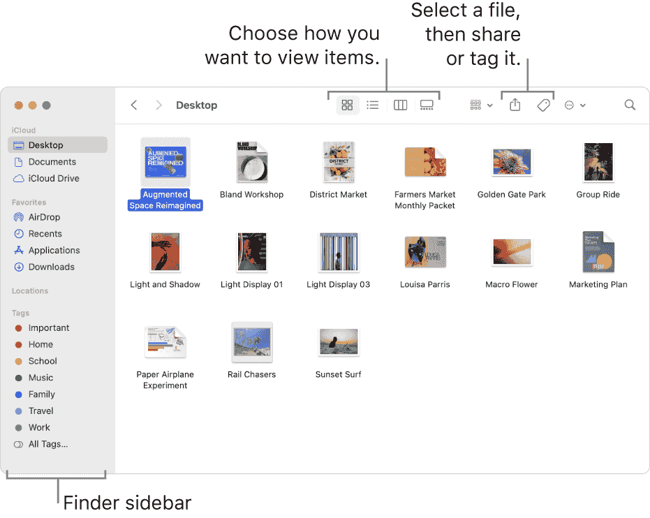 Text what are the most common file formats for digitize...