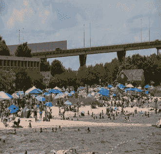 Section image