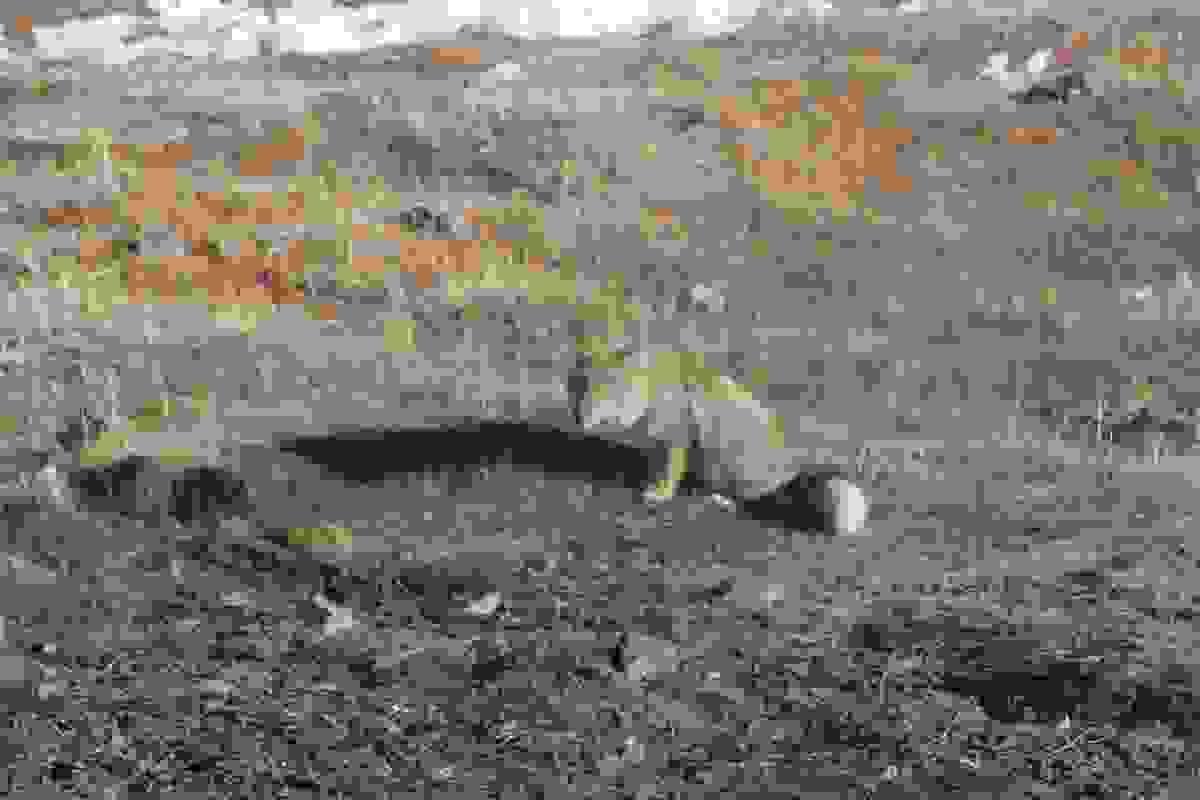 一般的な観光地だけではなく、知られざる寺院やお祭見学の手配もお任せください。チベットの民族、雄大な景観を存分にお楽しみいただけるよう行程を作成します。 一般的な観光地だけではなく、知られざる寺院やお祭見学の手配もお任せください。チベットの民族、雄大な景観を存分にお楽しみいただけるよう行程を作成します。