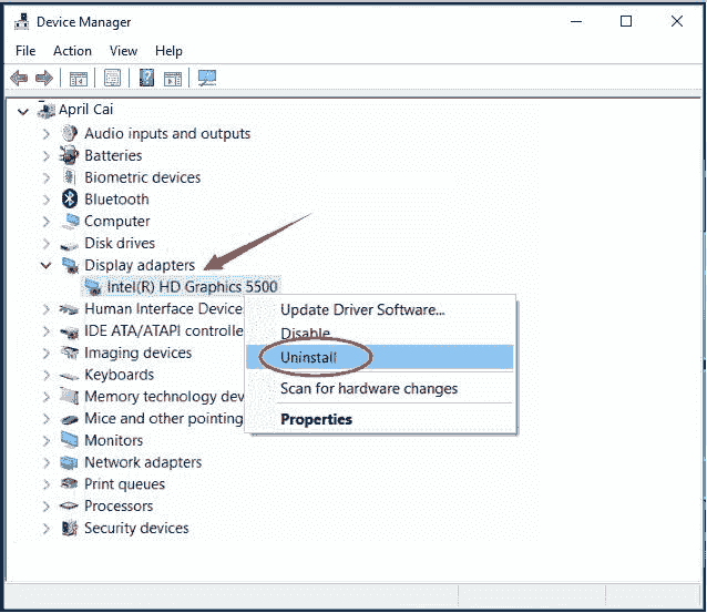 Display adapters not showing up device manager
