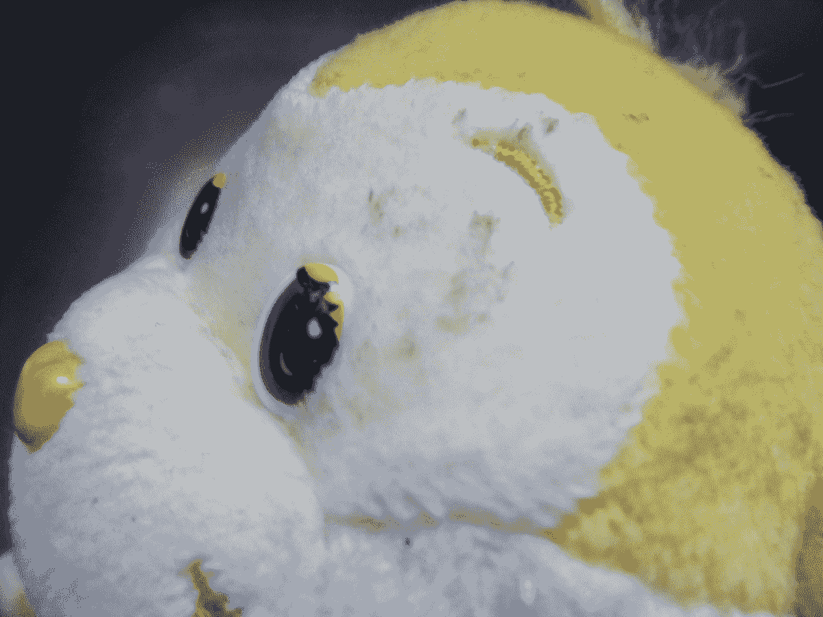 How to clean stuffed animals without ruining them