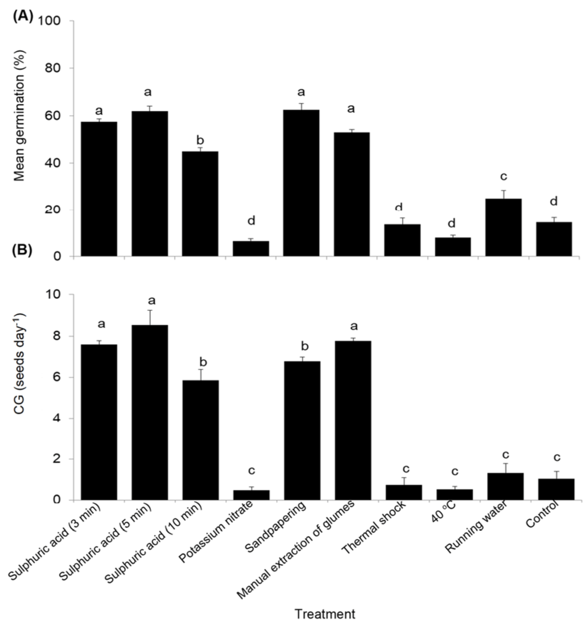 What does maximus mean