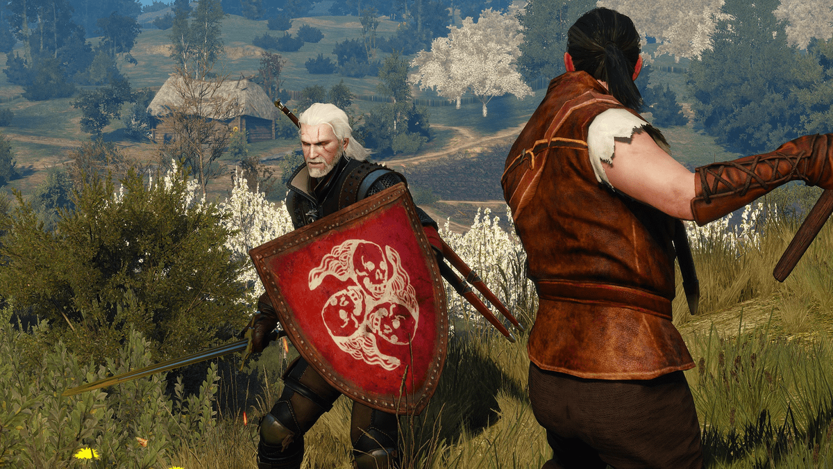 Witcher 3 hood mod
