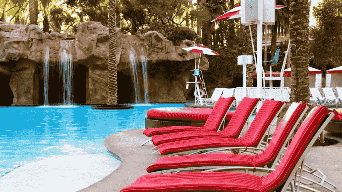 Hotel casino flamingo las vegas