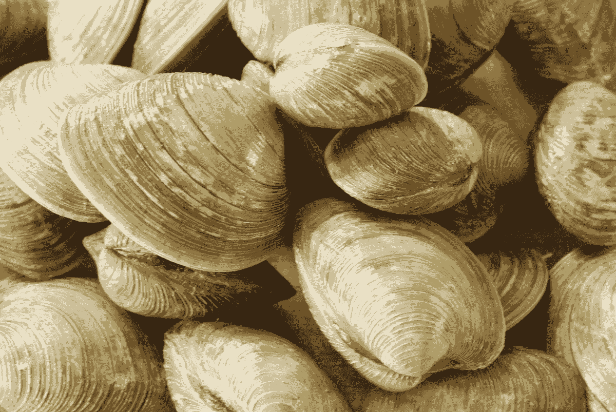 Clams casino recipe gluten free