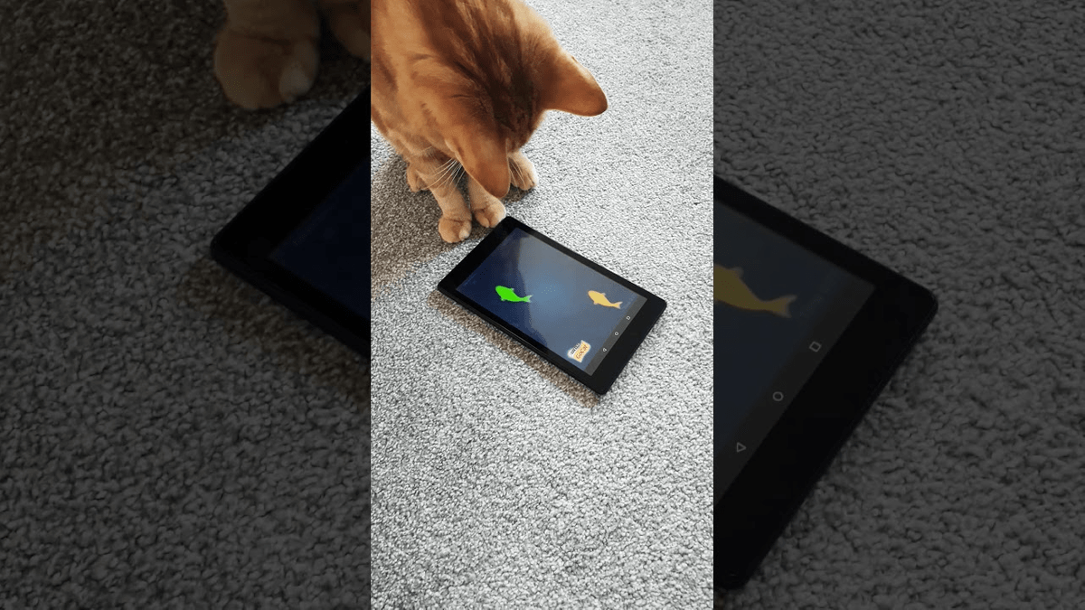 Cat goes fishing free pc