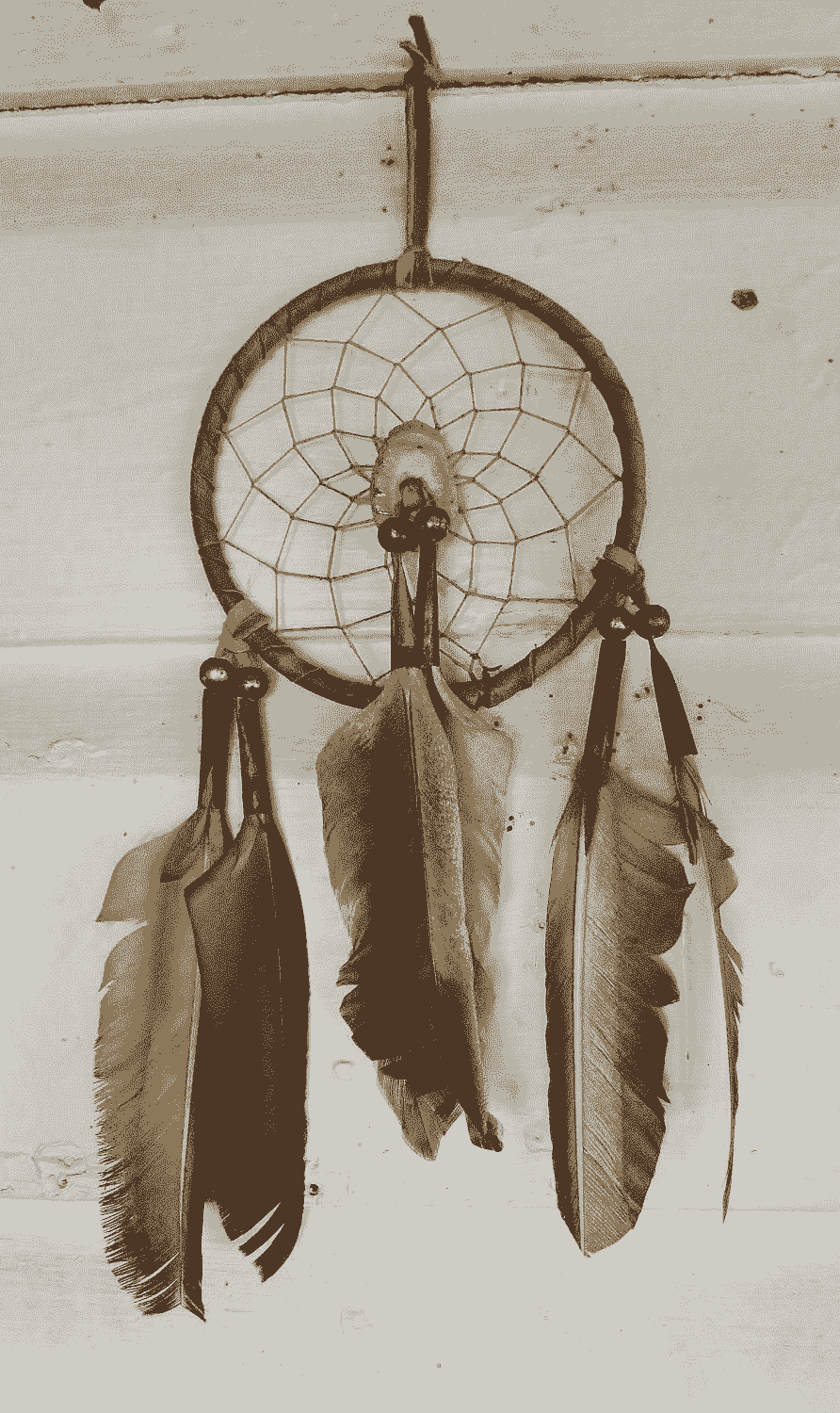 Native american made dream catcher