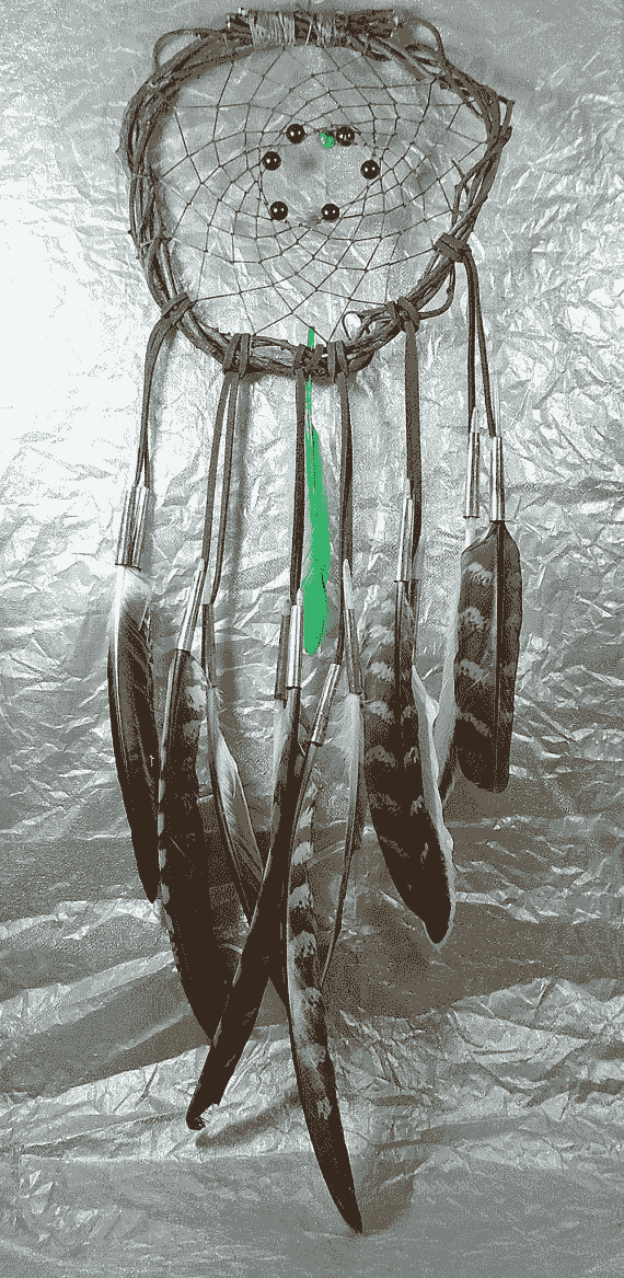 Native american made dream catcher